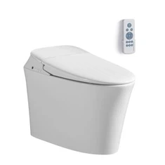Inodoro integrado de bidet