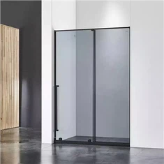 Puerta de ducha deslizante negra mate