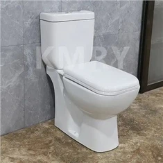 Inodoro de dos piezas